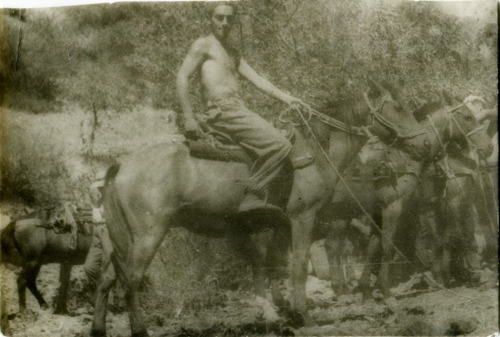 Александр Городницкий в экспедиции на Гиссарском хребте, 1954 год