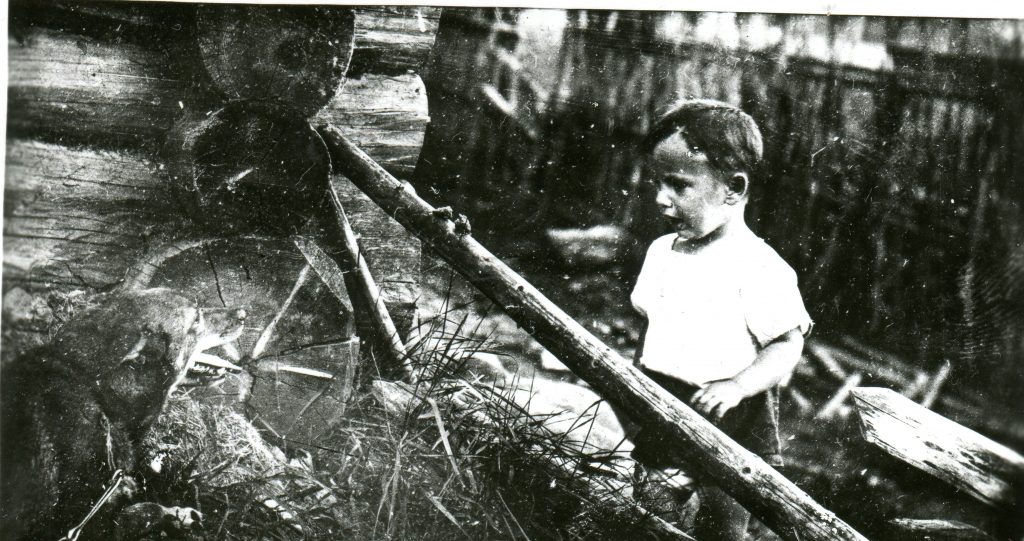Полыковские хутора, 1937 год