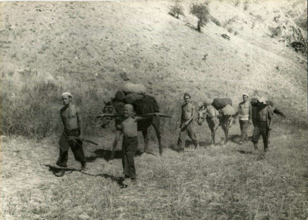 Александр Городницкий в экспедиции на Гиссарском хребте, 1956 год